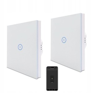Włącznik światła 1-drożny, 2 szt. Smart Alexa, Home Assistant ZigBee Zauzau