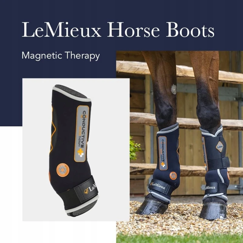 LeMieux Magno Buty magnetyczne dla konia, para ochraniaczy do terapii, XL