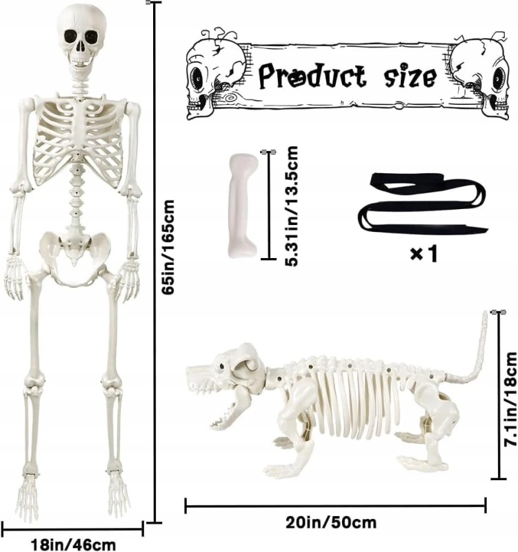 Realistyczny szkielet człowieka 165 cm i psa, ruchoma dekoracja- DIYDEC